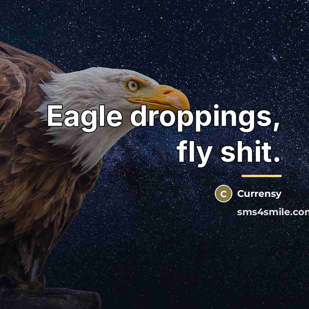 “Eagle droppings, fly shit.…” quote by Currensy