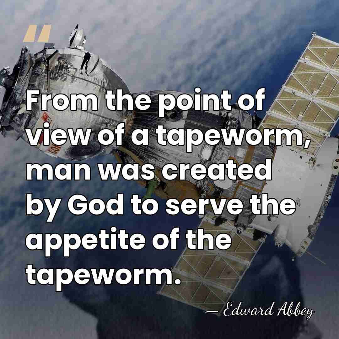 From the point of view of a tapeworm, man was created by&hellip; - Edward Abbey