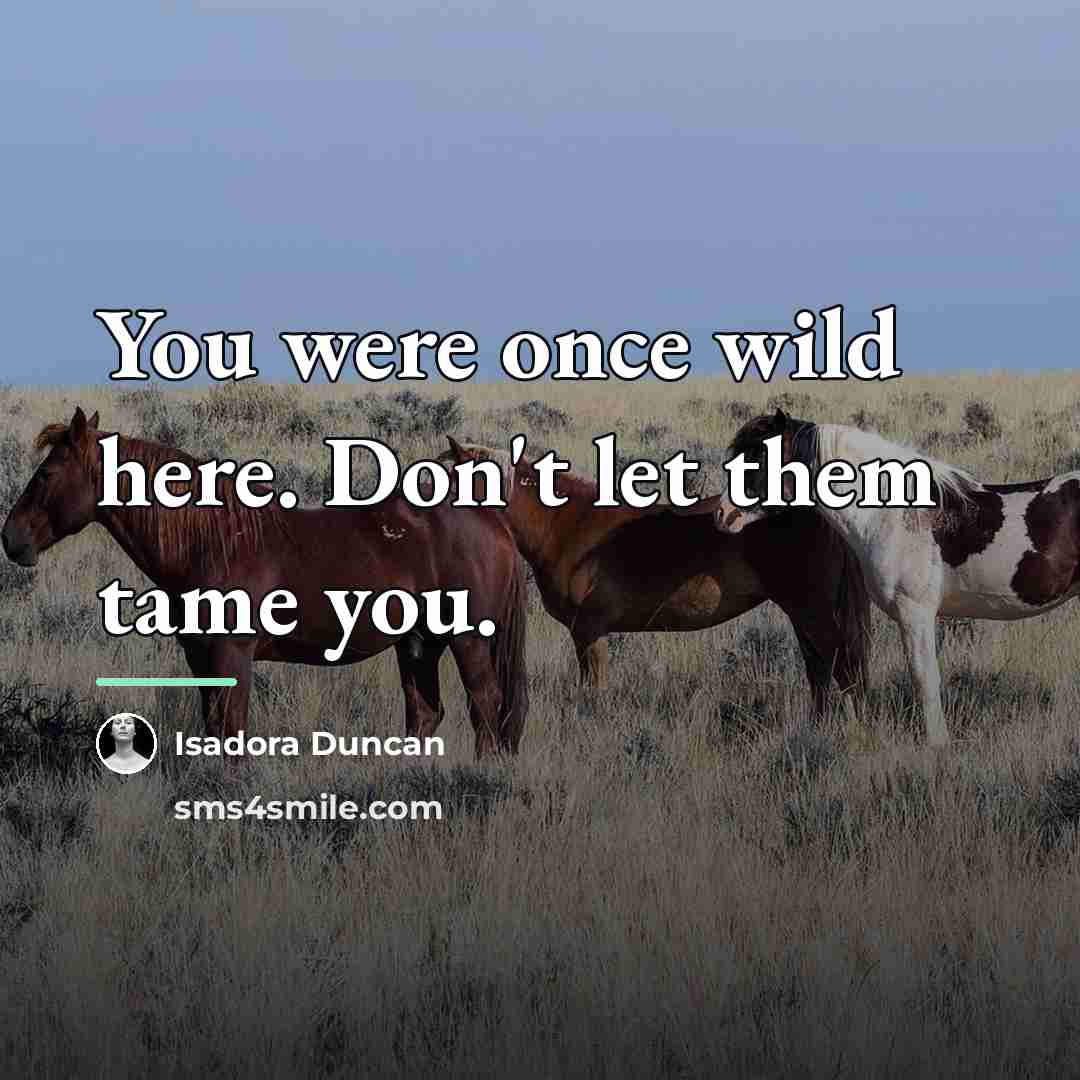 “You were once wild here. Don't let them tame you.…” quote by Isadora Duncan