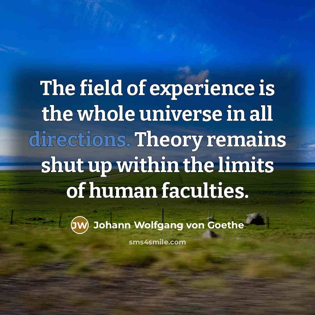 “The field of experience is the whole universe in all…” quote by Johann Wolfgang von Goethe
