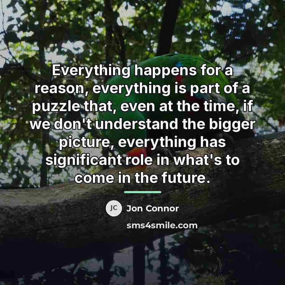 “Everything happens for a reason, everything is part of a…” quote by Jon Connor