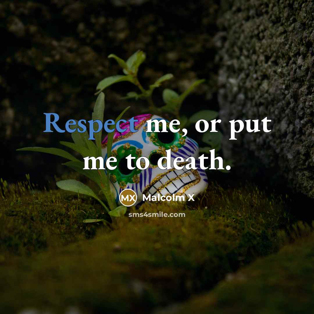 “Respect me, or put me to death.…” quote by Malcolm X