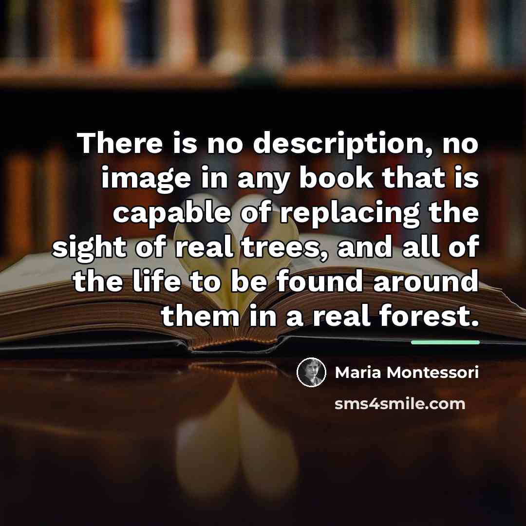 “There is no description, no image in any book that…” quote by Maria Montessori