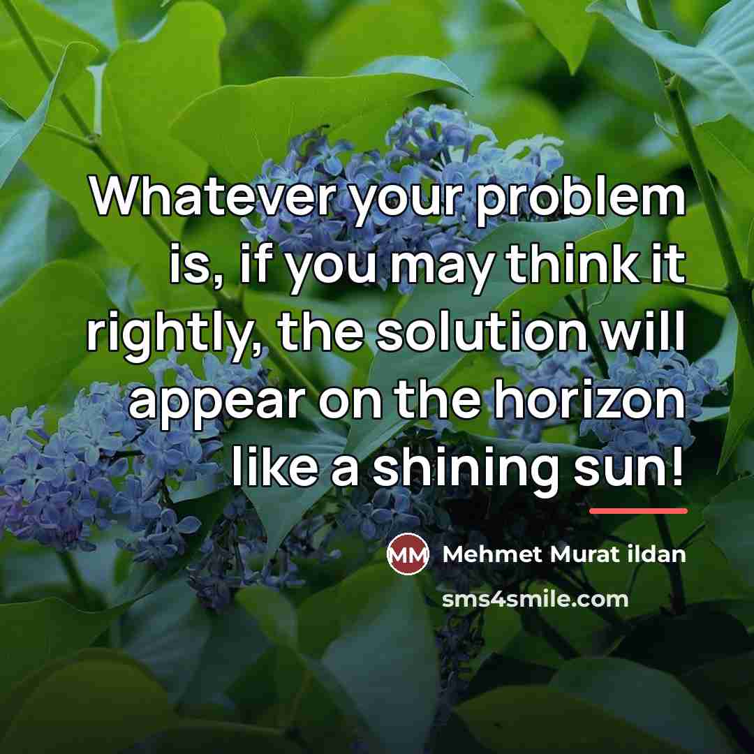 “Whatever your problem is, if you may think it rightly,…” quote by Mehmet Murat Ildan