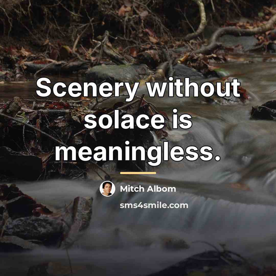 “Scenery without solace is meaningless.…” quote by Mitch Albom