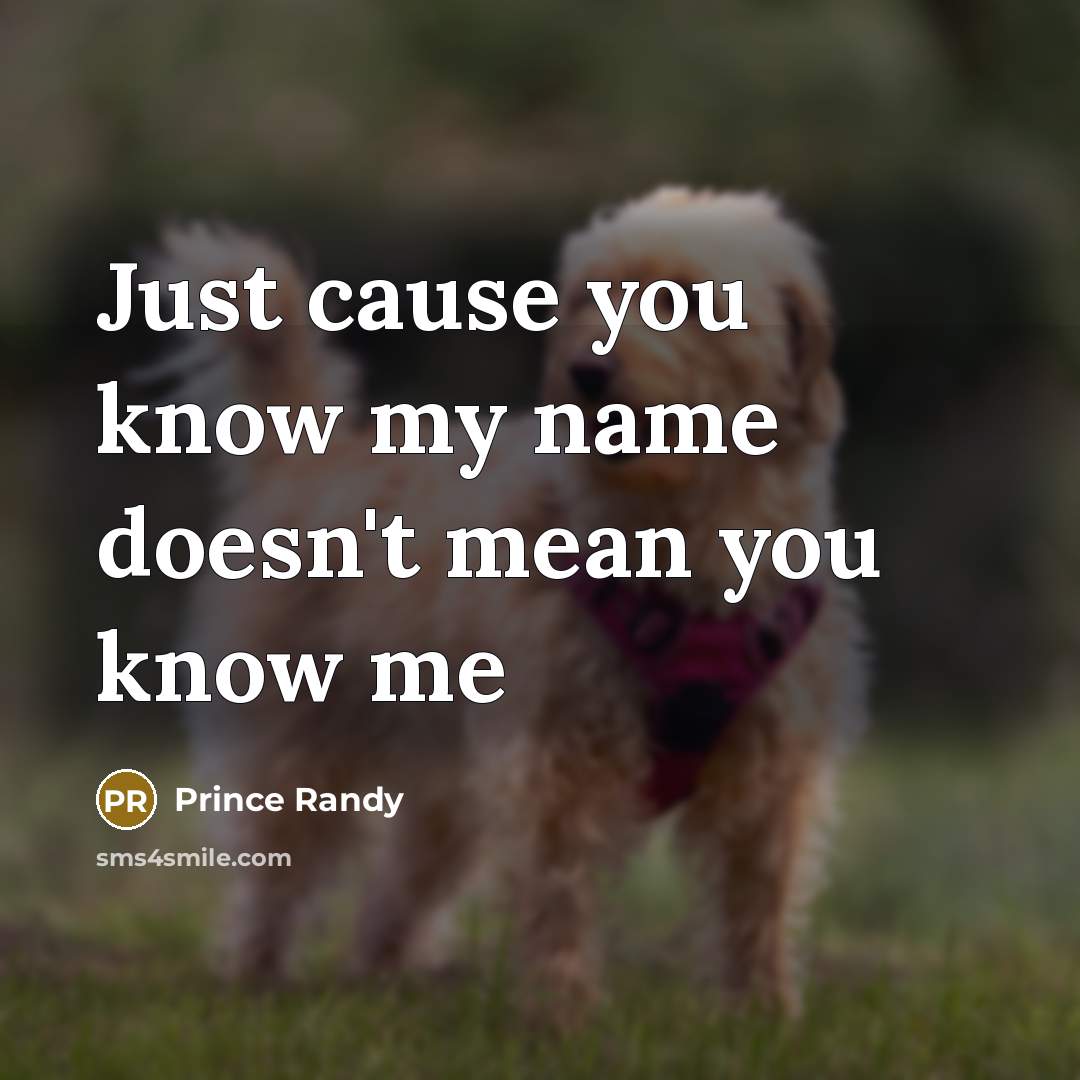 “Just cause you know my name doesn't mean you know…” quote by Prince Randy