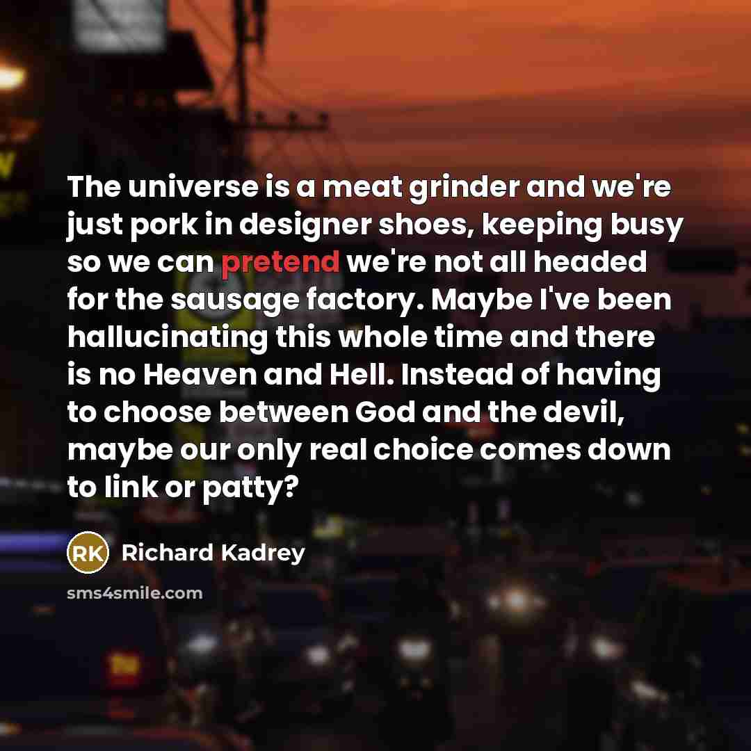 “The universe is a meat grinder and we're just pork…” quote by Richard Kadrey