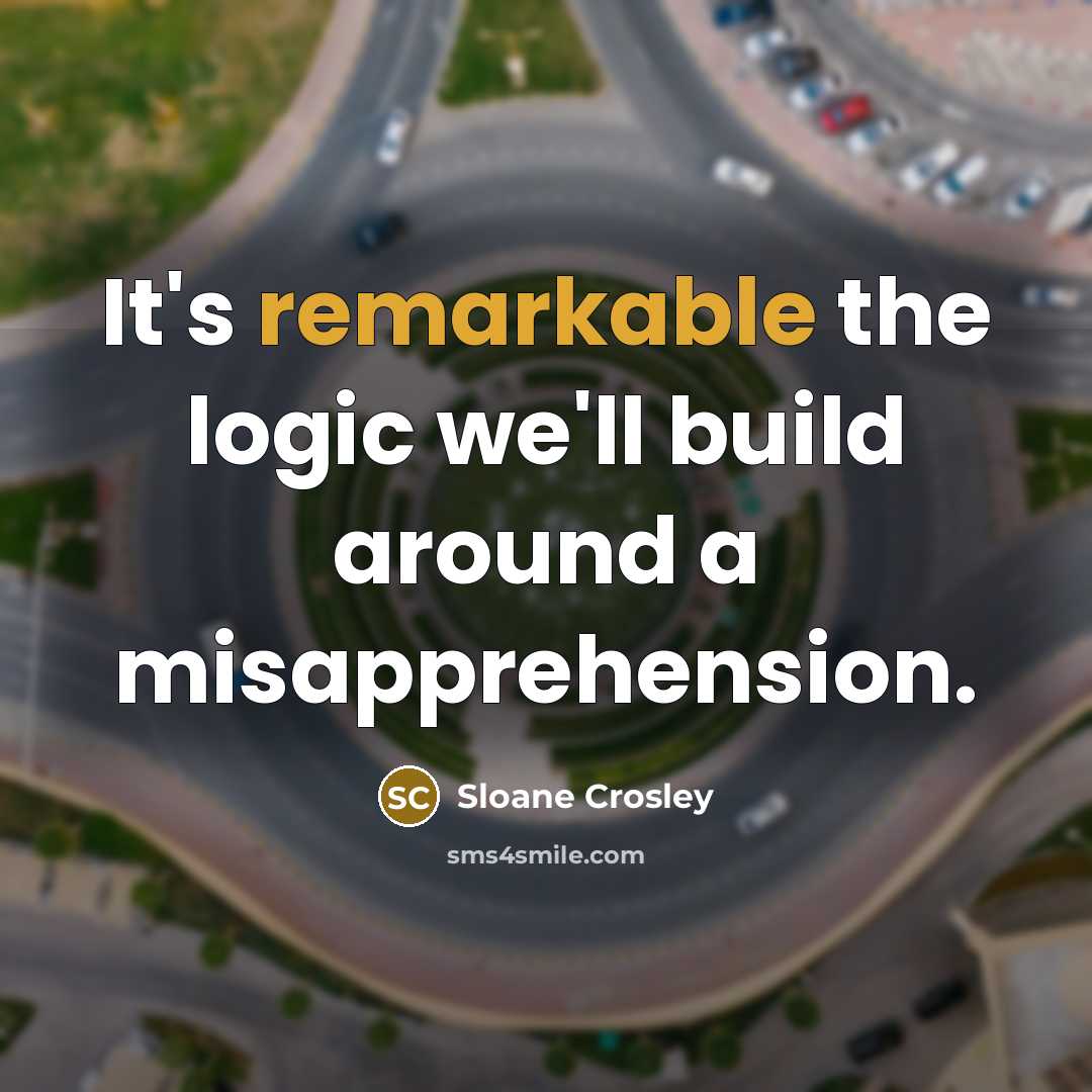 “It's remarkable the logic we'll build around a misapprehension.…” quote by Sloane Crosley
