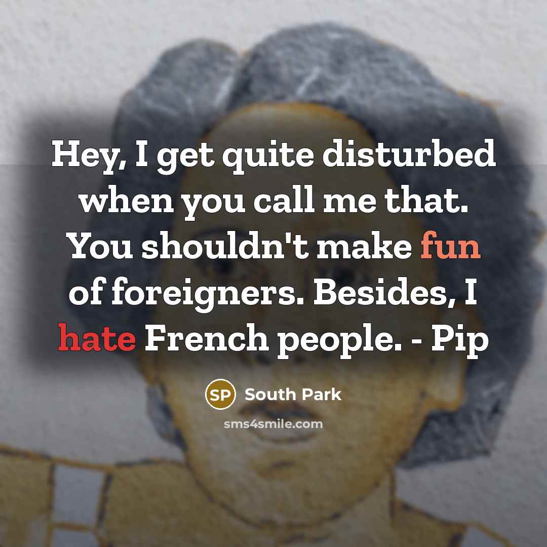 “Hey, I get quite disturbed when you call me that. You shouldn't make fun of foreigners. Besides, I hate French people. - Pip” quote by South Park