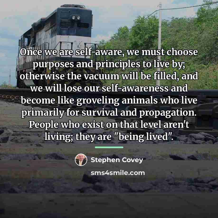 “Once we are self-aware, we must choose purposes and principles…” quote by Stephen Covey