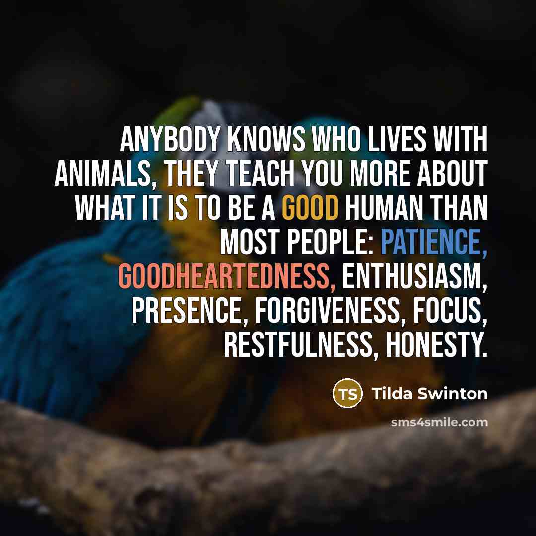 “Anybody knows who lives with animals, they teach you more…” quote by Tilda Swinton