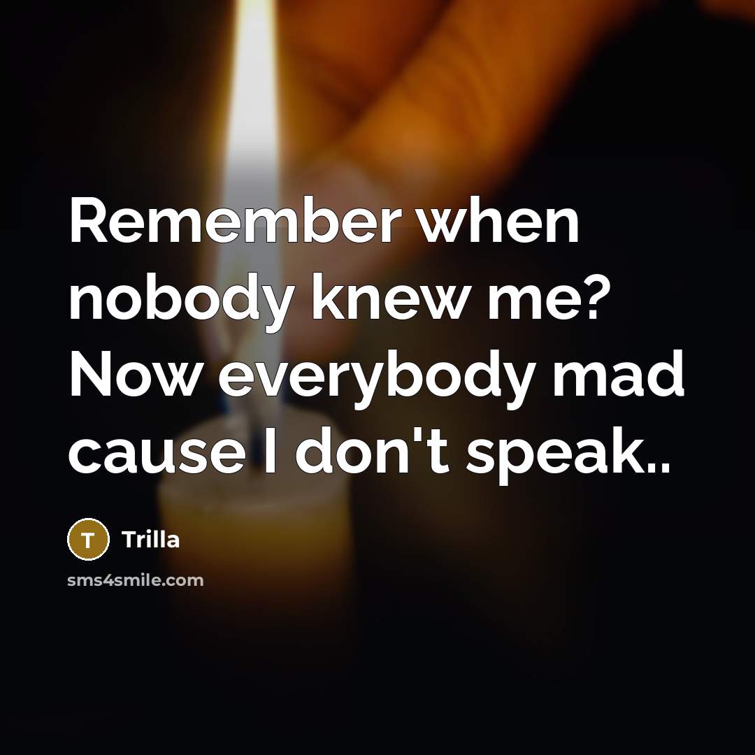 “Remember when nobody knew me? Now everybody mad cause I…” quote by Trilla
