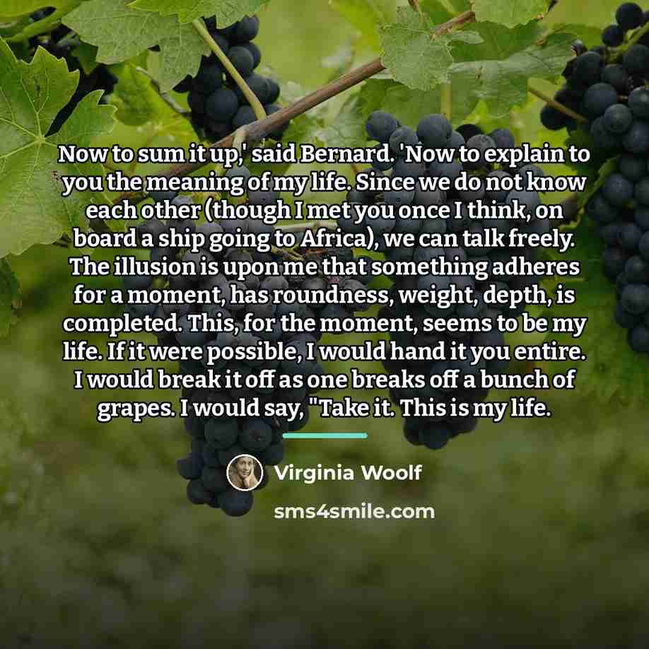 “Now to sum it up,' said Bernard. 'Now to explain…” quote by Virginia Woolf