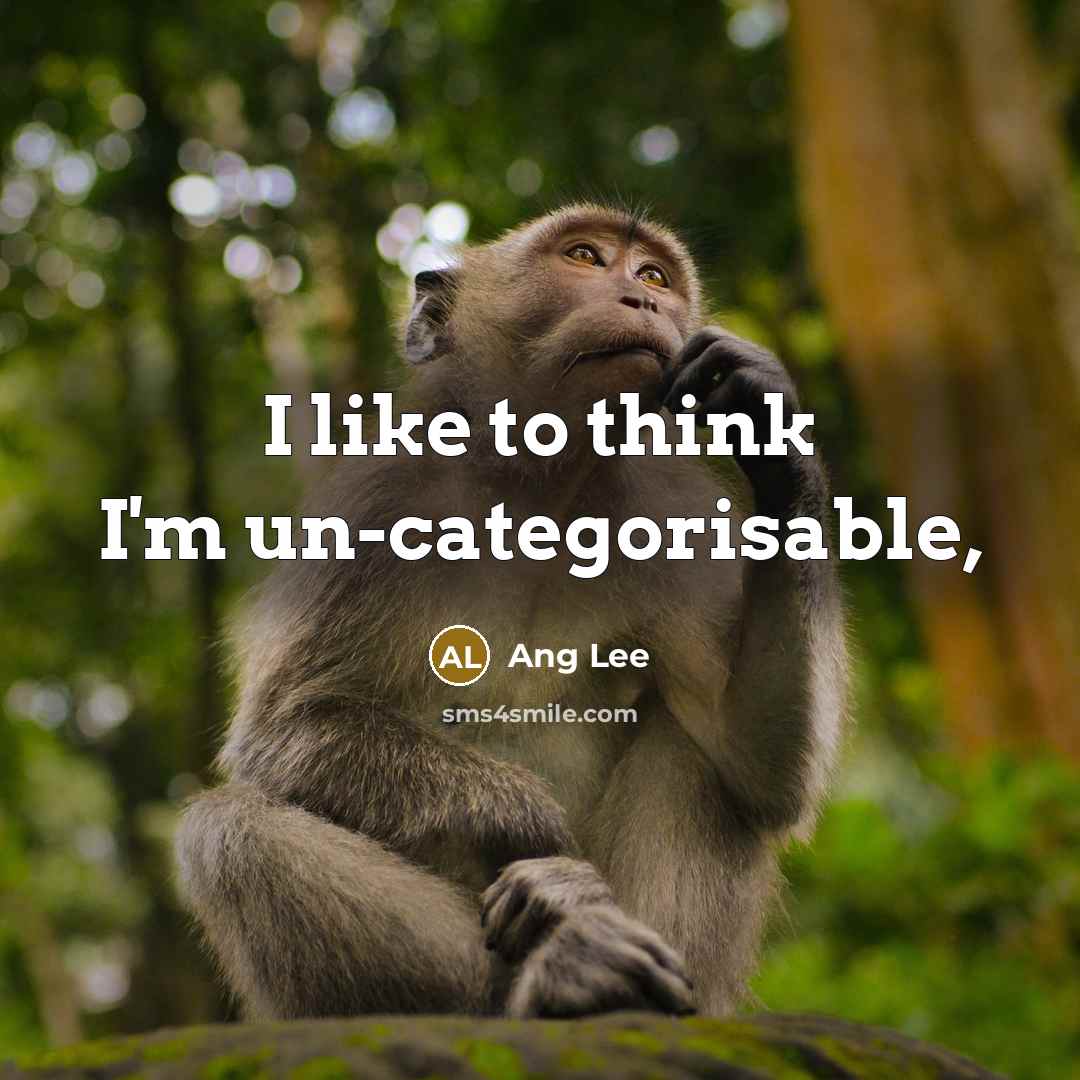 “I like to think I'm un-categorisable,…” quote by Ang Lee