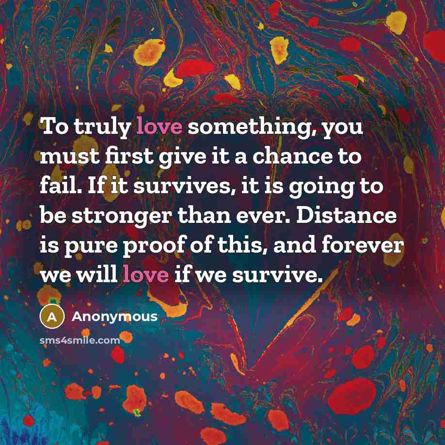 “To truly love something, you must first give it a…” quote by Anonymous