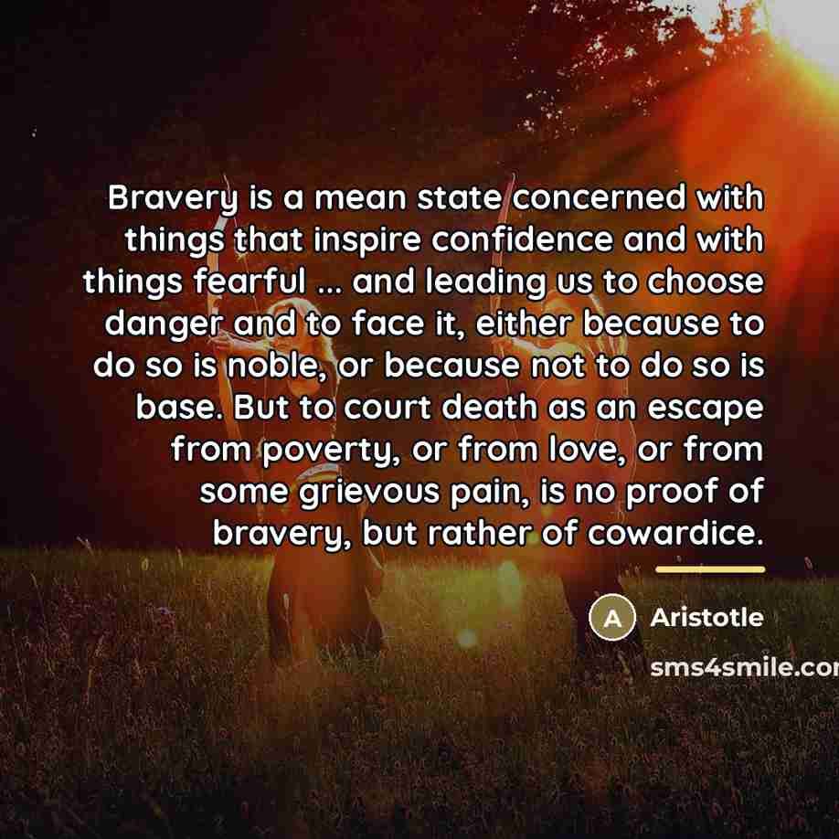 “Bravery is a mean state concerned with things that inspire…” quote by Aristotle