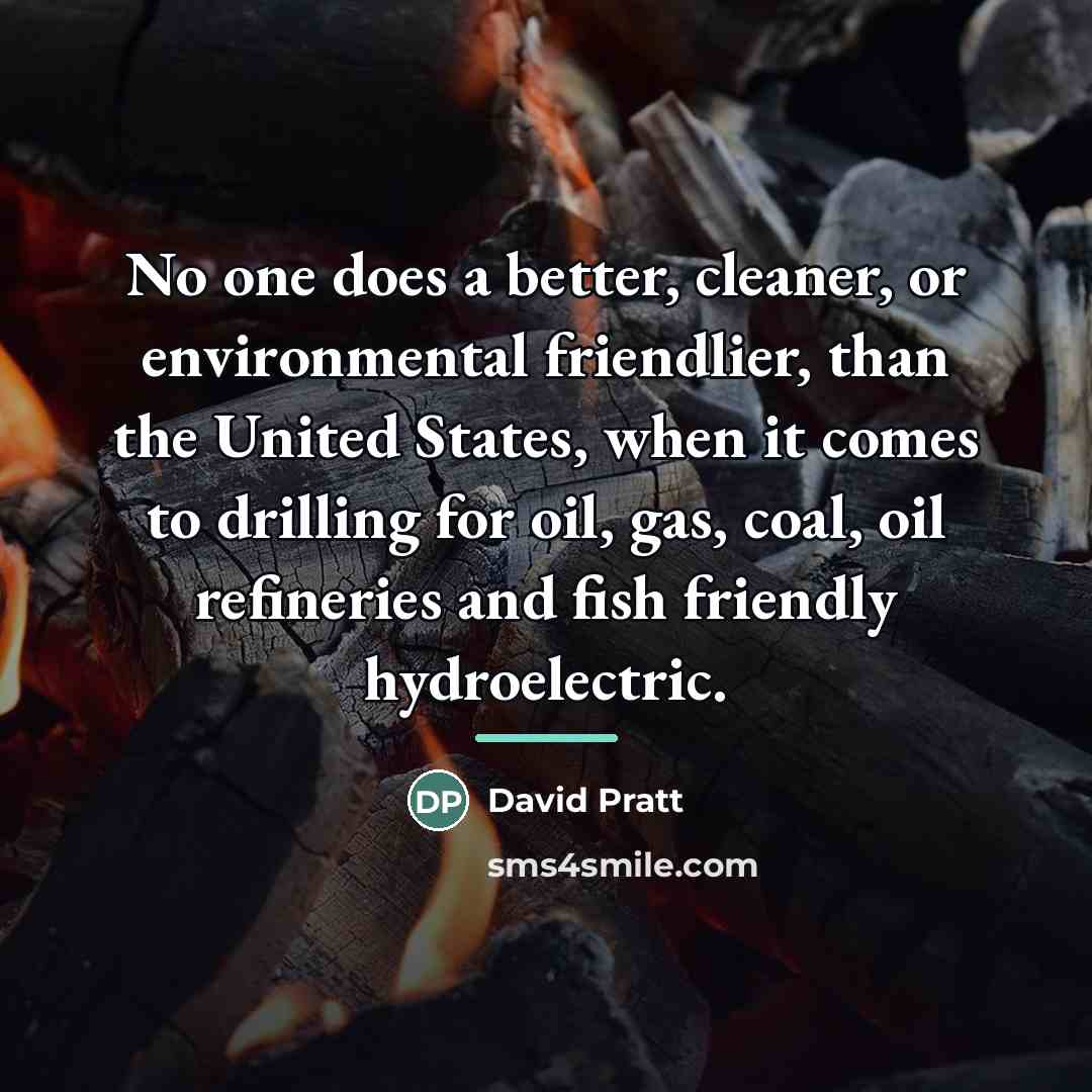 “No one does a better, cleaner, or environmental friendlier, than…” quote by David Pratt