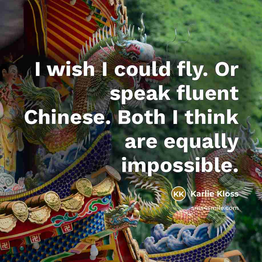 “I wish I could fly. Or speak fluent Chinese. Both…” quote by Karlie Kloss