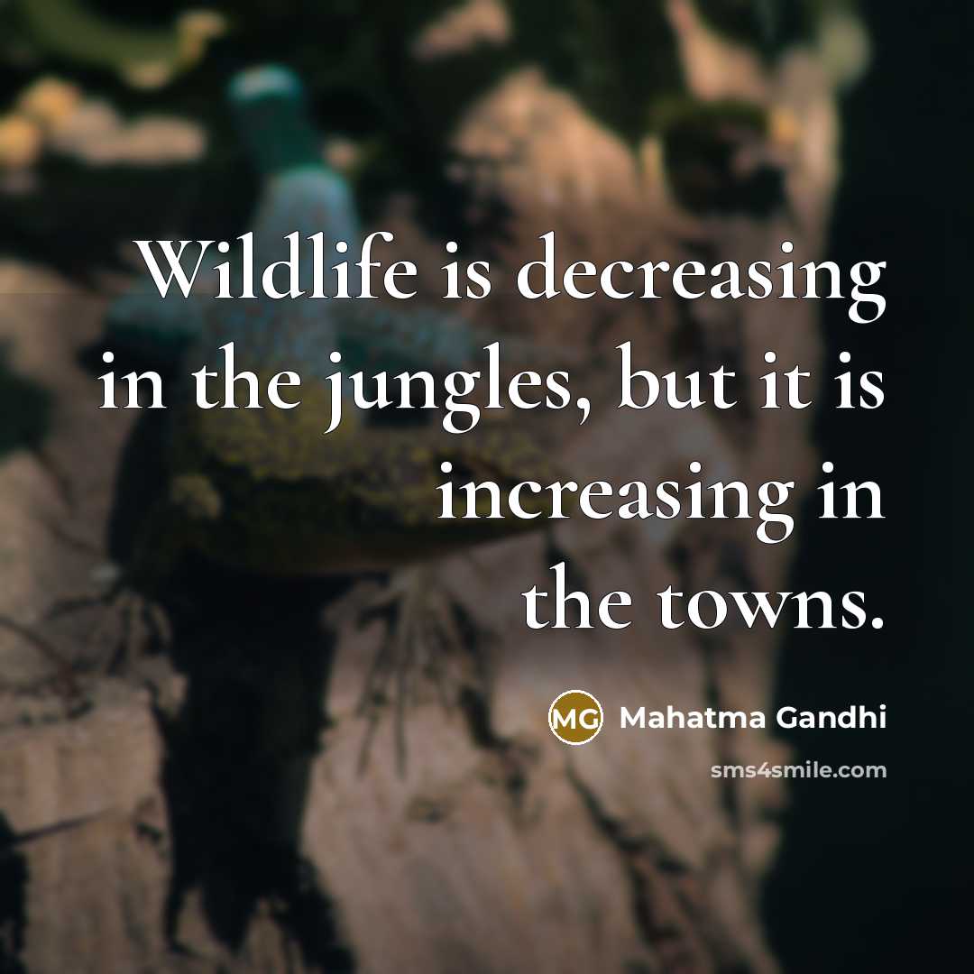 “Wildlife is decreasing in the jungles, but it is increasing…” quote by Mahatma Gandhi