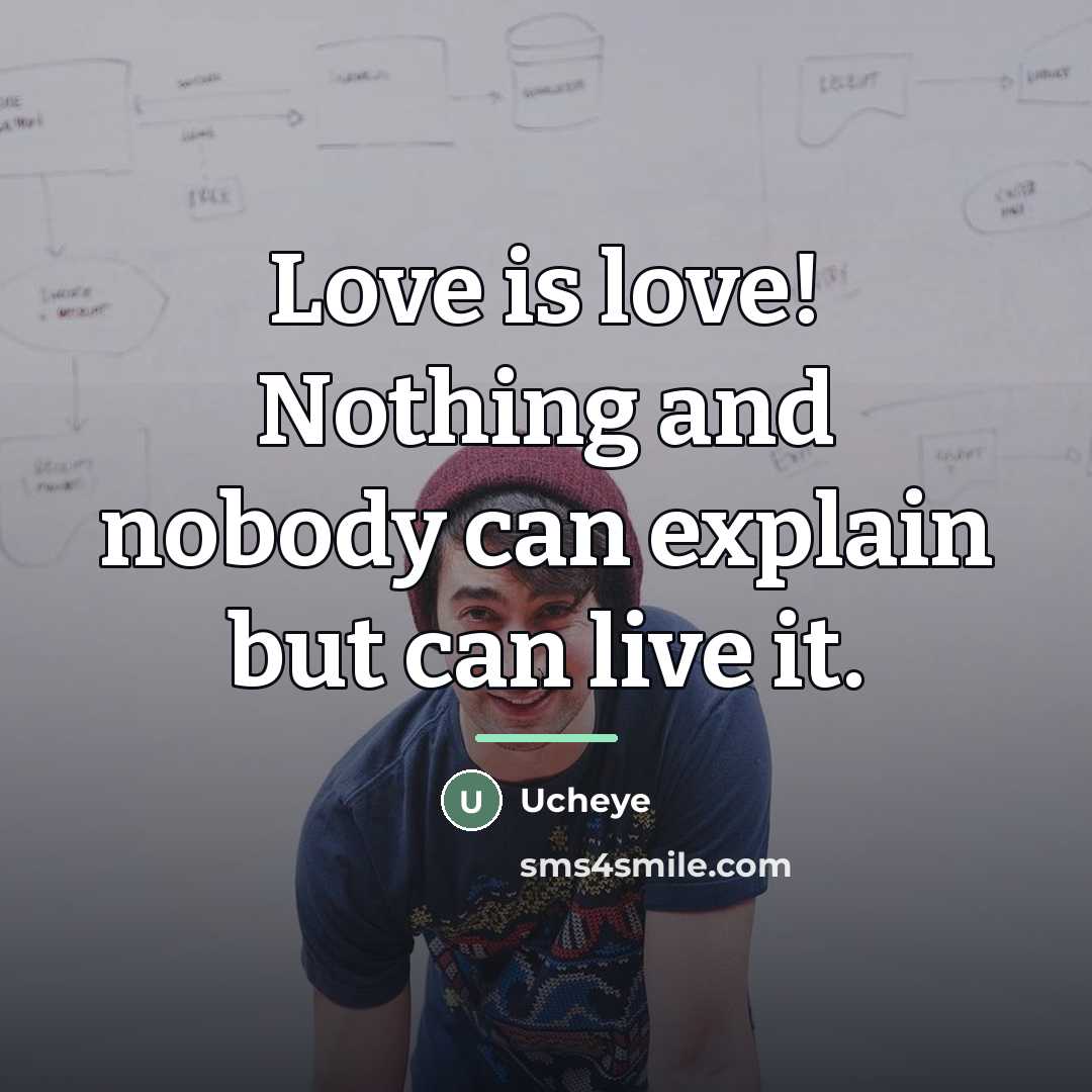 “Love is love! Nothing and nobody can explain but can…” quote by Ucheye