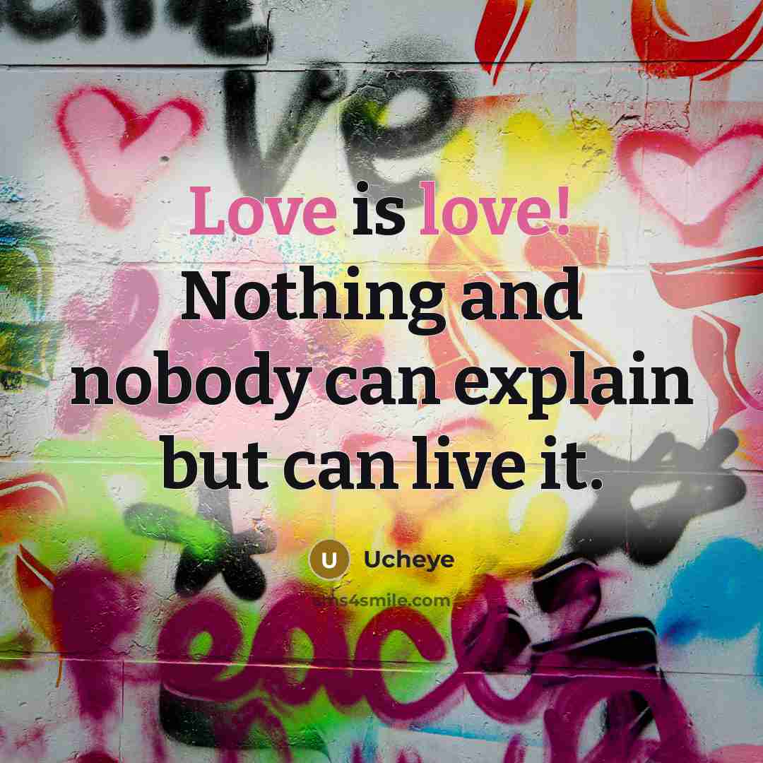 “Love is love! Nothing and nobody can explain but can live it.” quote by Ucheye