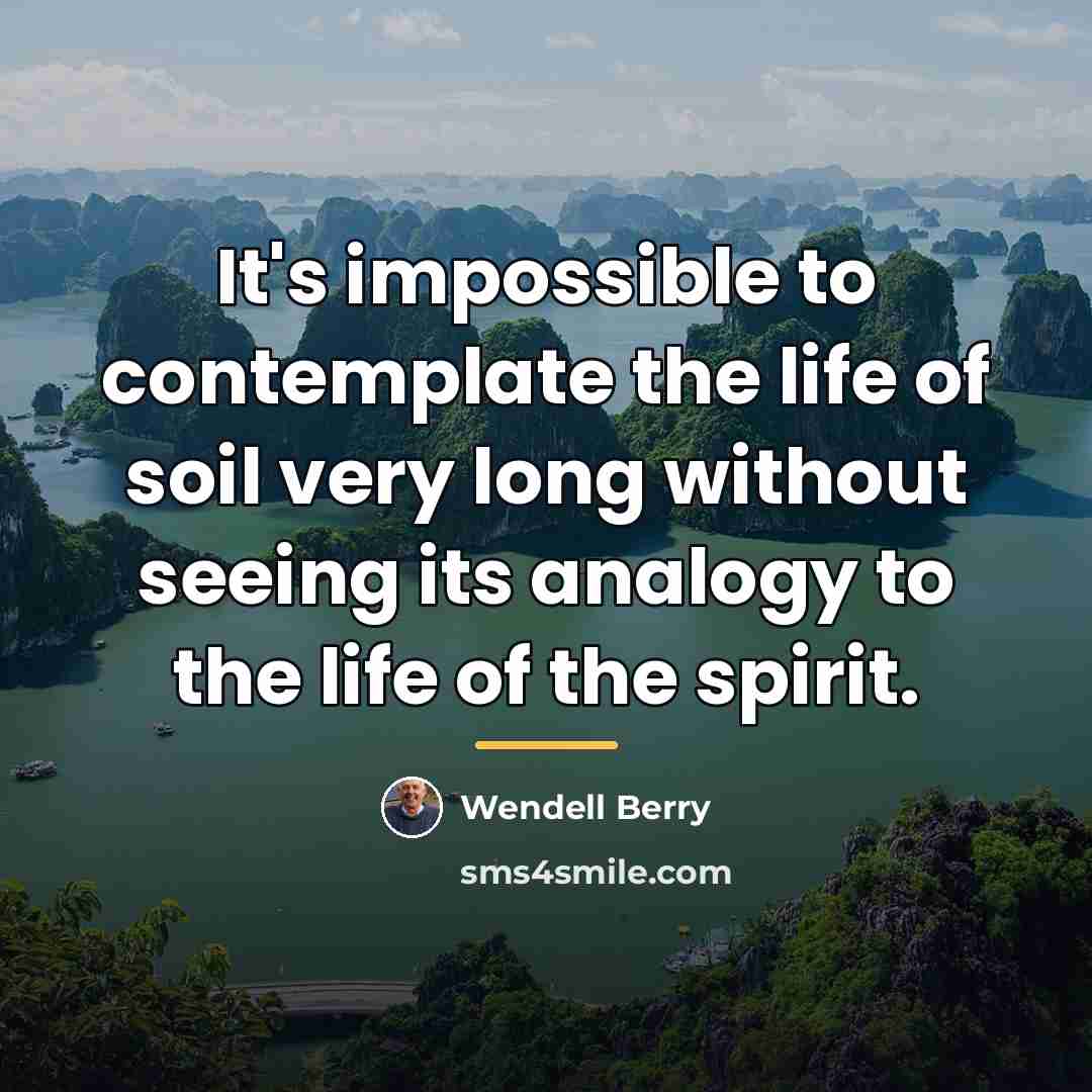 “It's impossible to contemplate the life of soil very long…” quote by Wendell Berry