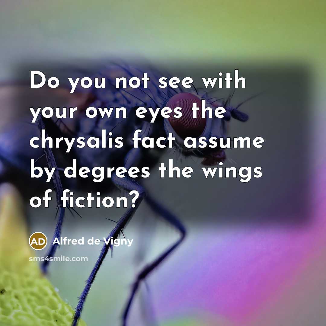 “Do you not see with your own eyes the chrysalis…” quote by Alfred de Vigny