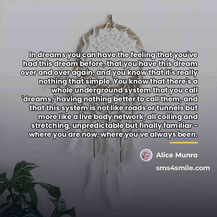 “In dreams you can have the feeling that you've had…” quote by Alice Munro