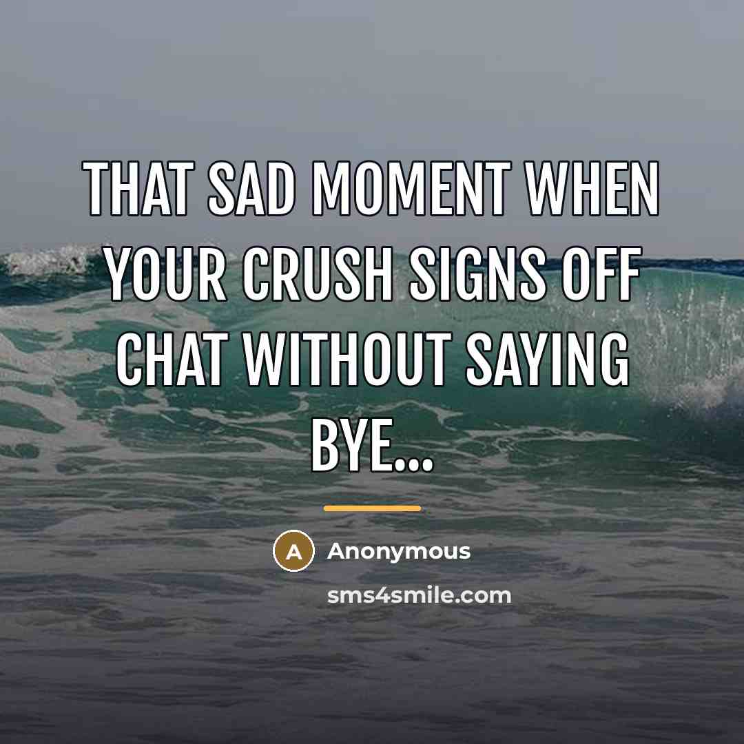 “That sad moment when your crush signs off chat without…” quote by Anonymous