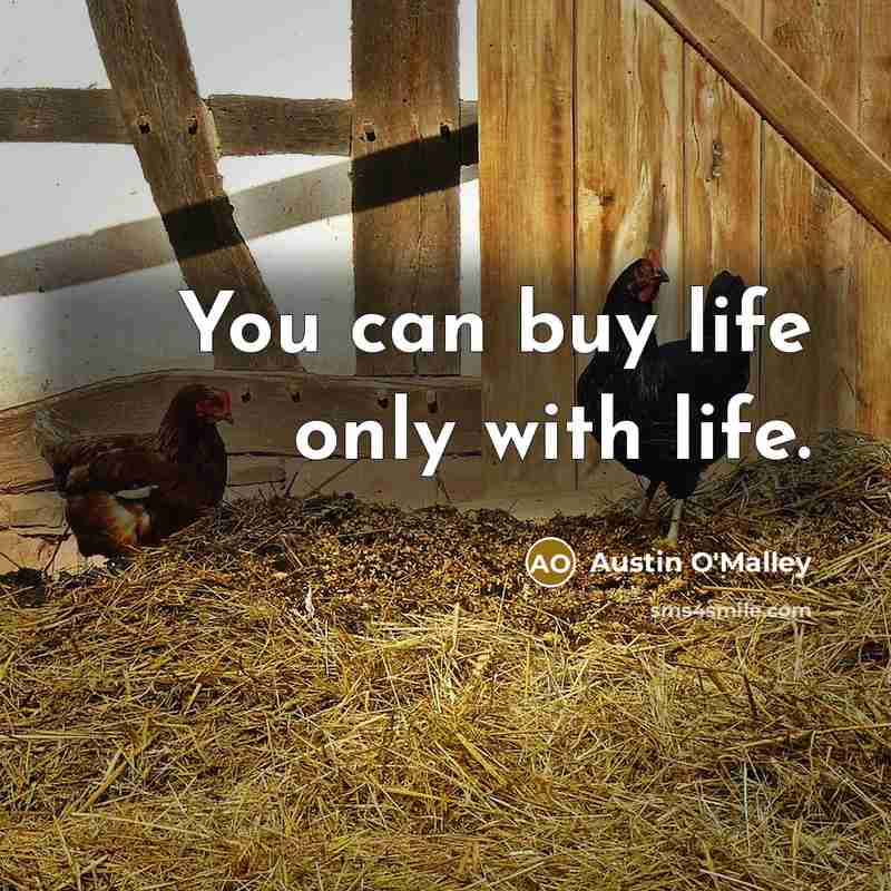 “You can buy life only with life.…” quote by Austin O'Malley