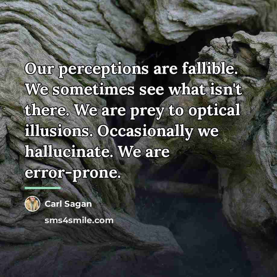“Our perceptions are fallible. We sometimes see what isn't there.…” quote by Carl Sagan