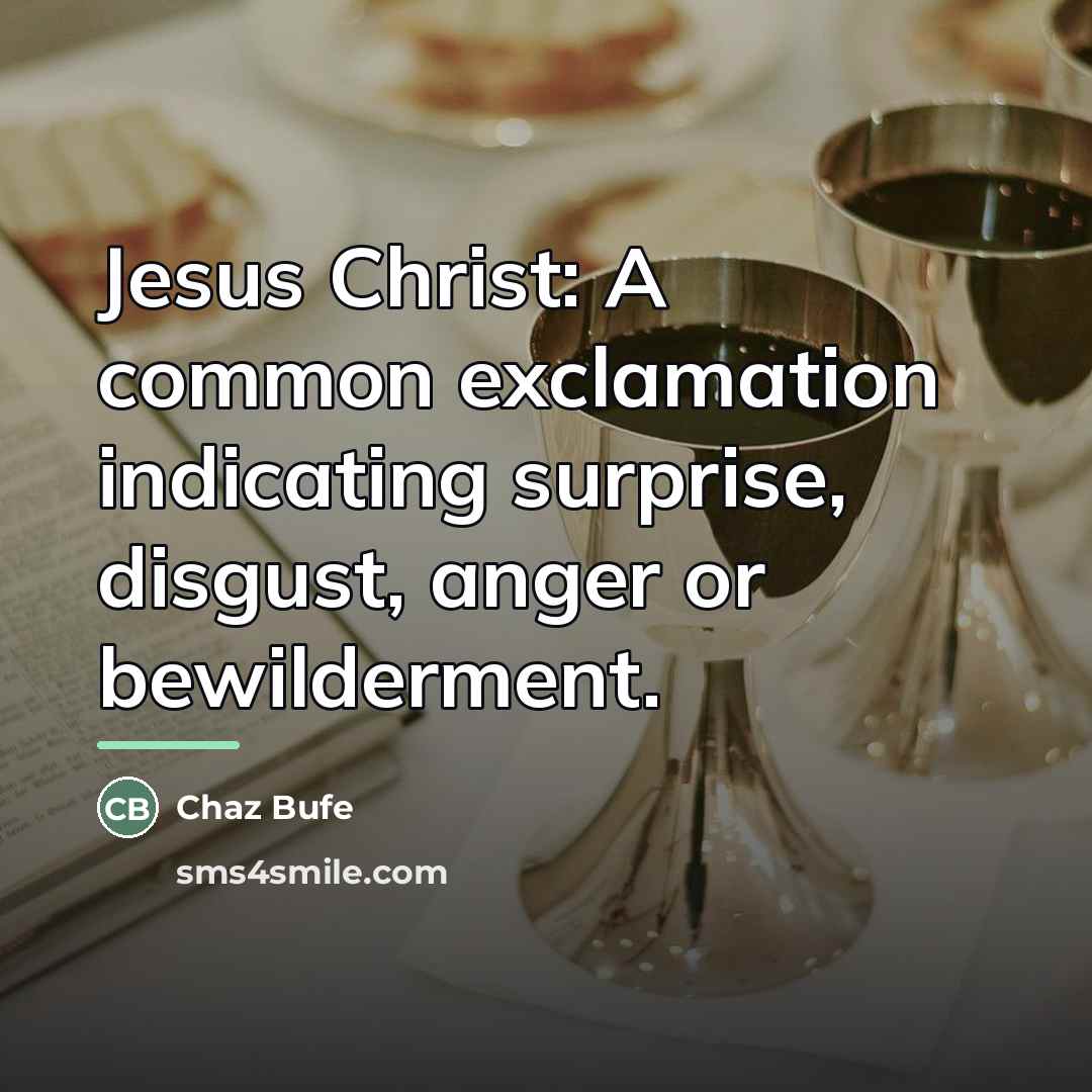 “Jesus Christ: A common exclamation indicating surprise, disgust, anger or…” quote by Chaz Bufe