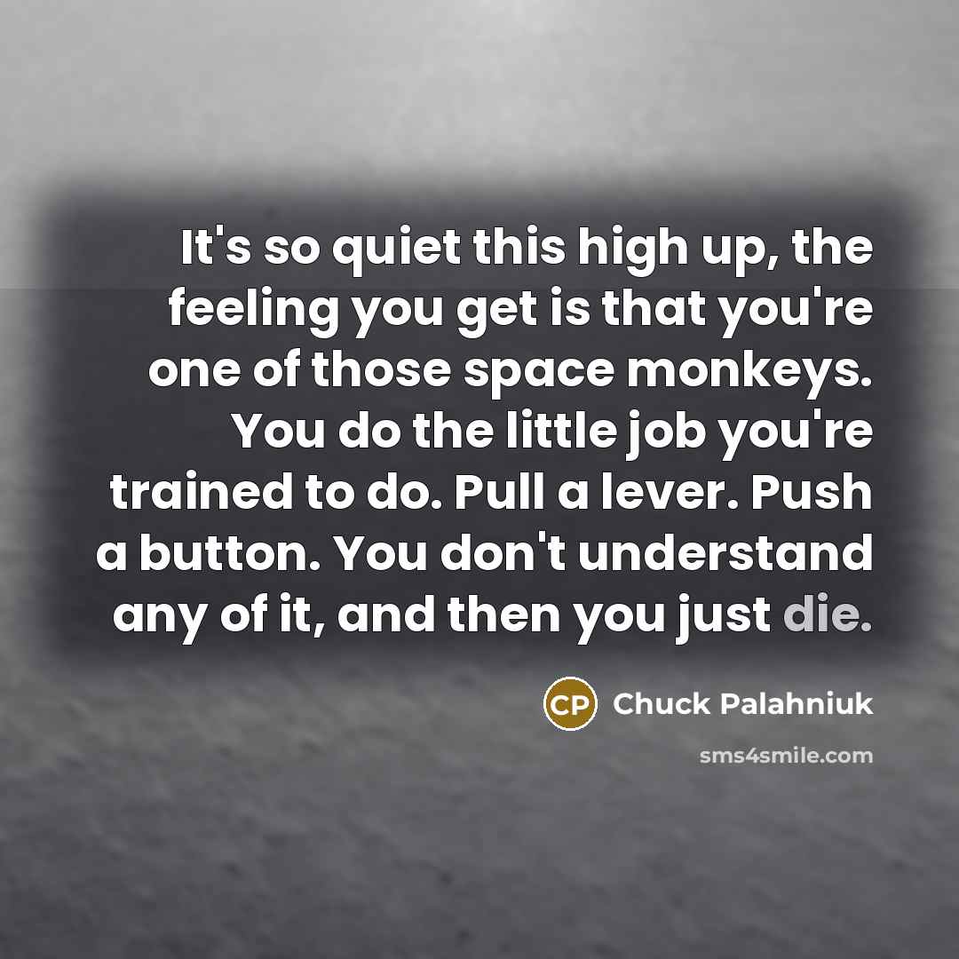 “It's so quiet this high up, the feeling you get…” quote by Chuck Palahniuk