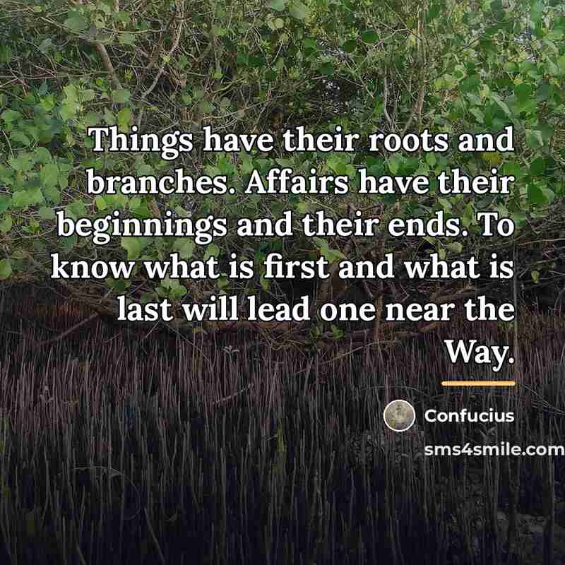 “Things have their roots and branches. Affairs have their beginnings…” quote by Confucius