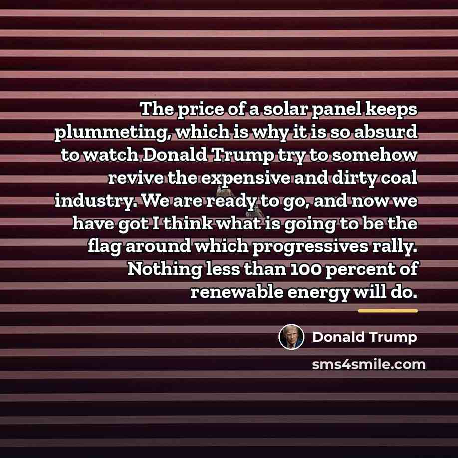 “The price of a solar panel keeps plummeting, which is…” quote by Donald Trump