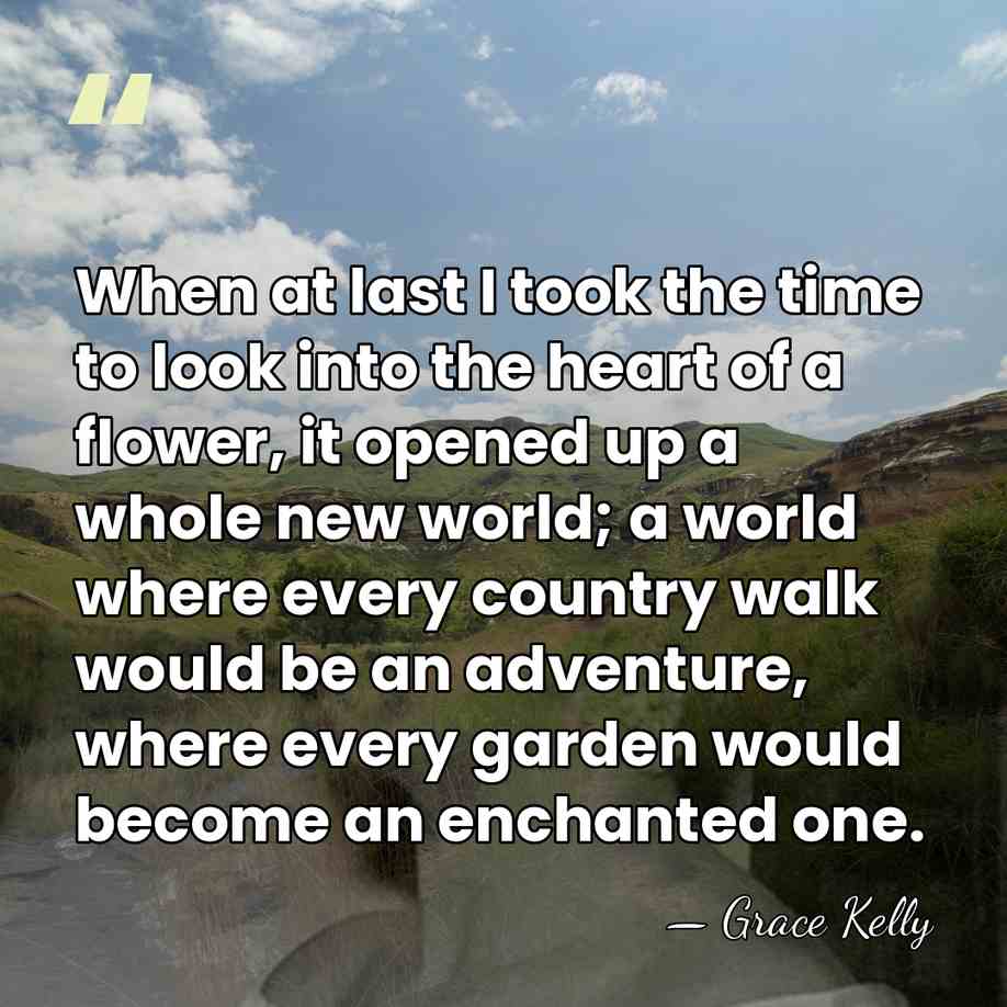 When at last I took the time to look into the heart&hellip; - Grace Kelly