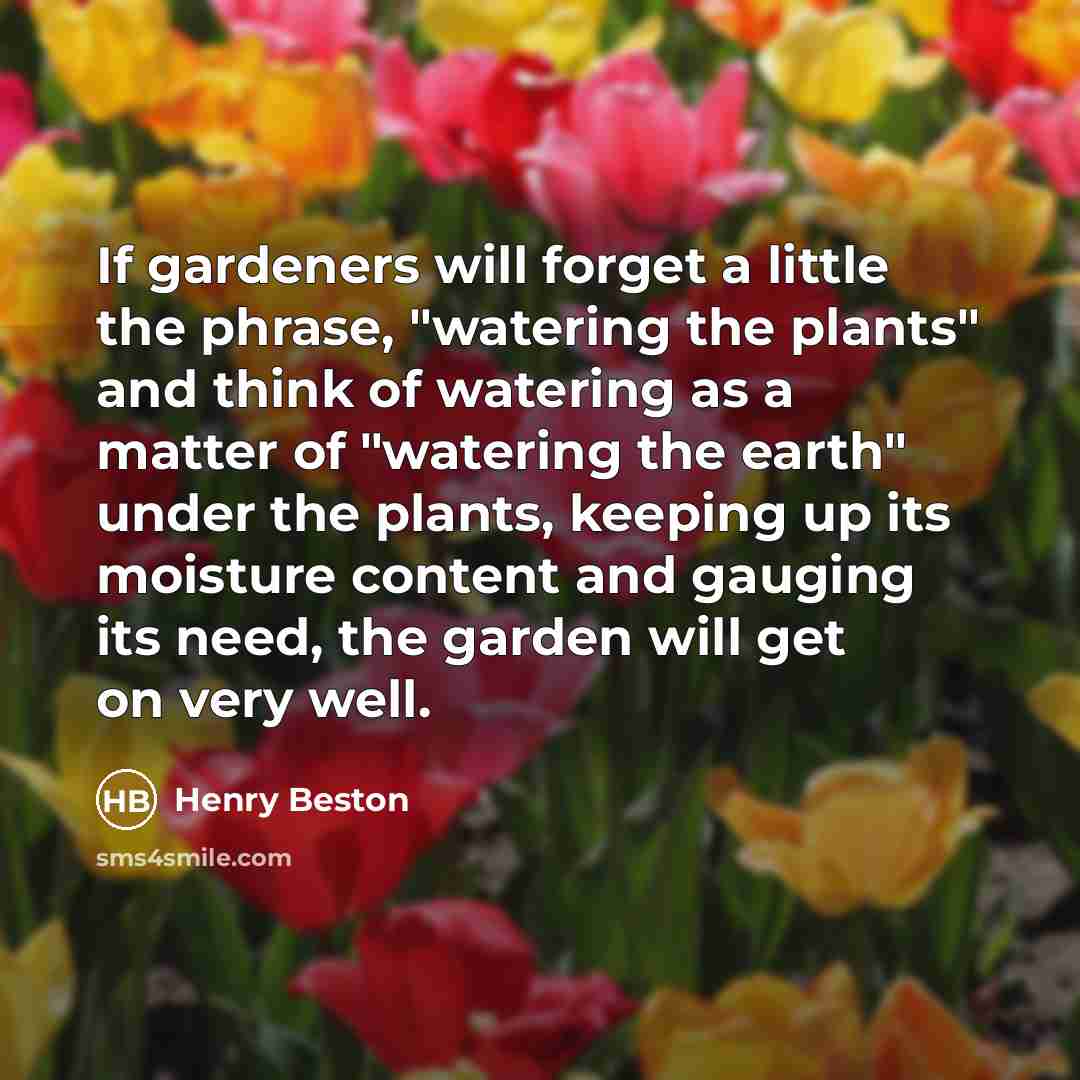 “If gardeners will forget a little the phrase, "watering the…” quote by Henry Beston