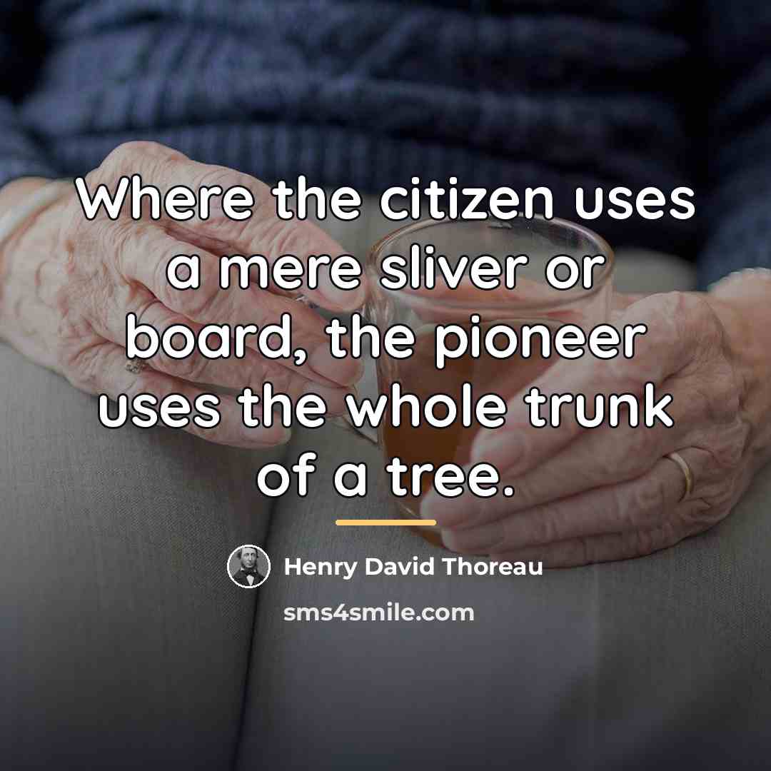“Where the citizen uses a mere sliver or board, the…” quote by Henry David Thoreau