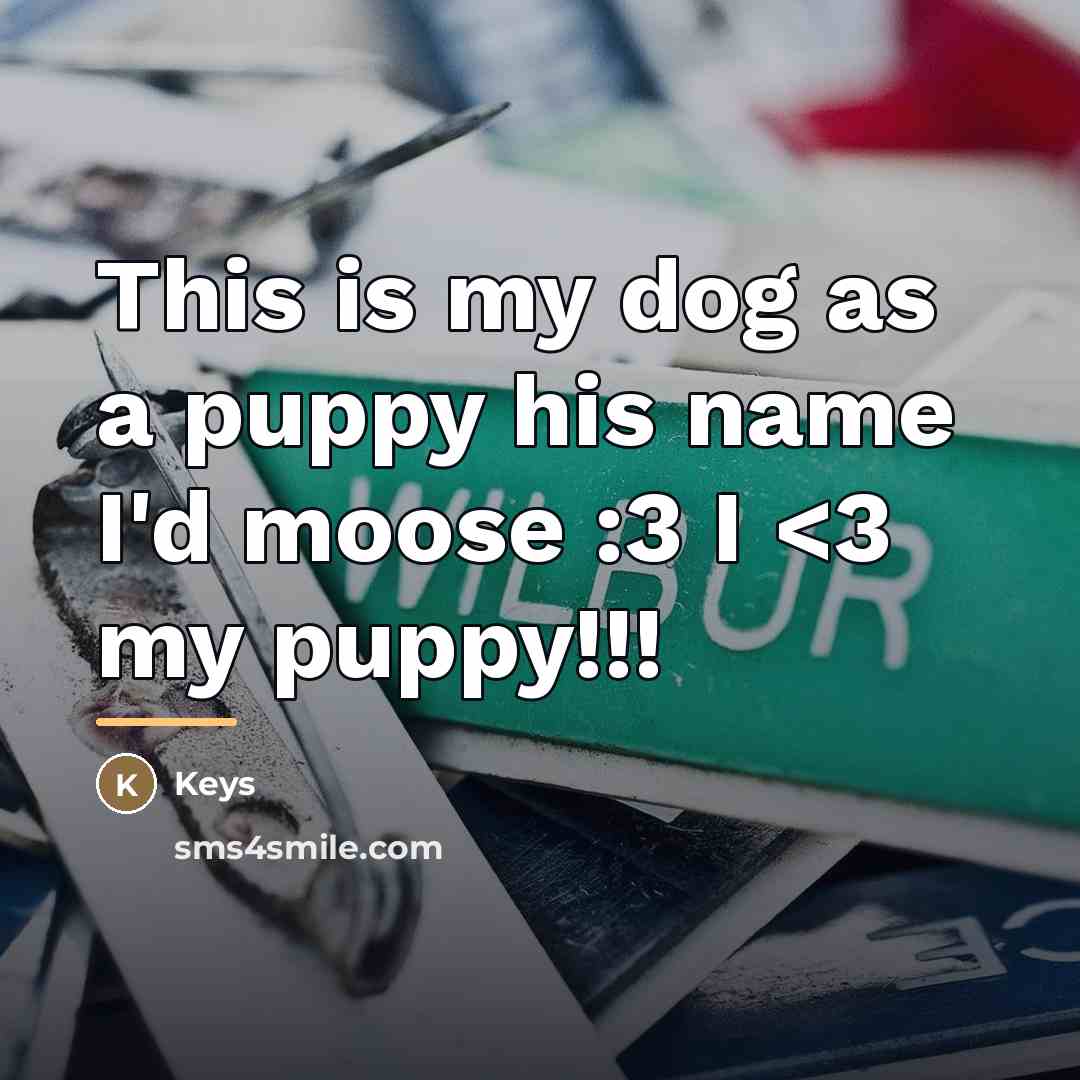 “This is my dog as a puppy his name I'd…” quote by Keys
