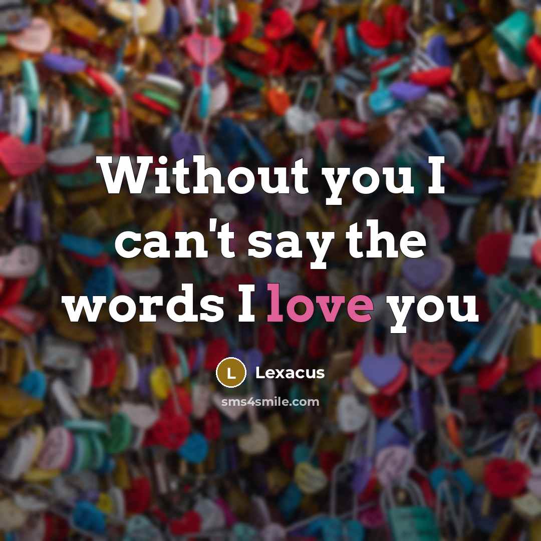 “Without you I can't say the words I love you…” quote by Lexacus