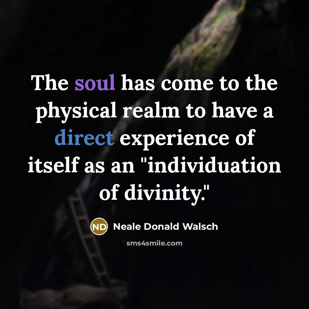 “The soul has come to the physical realm to have…” quote by Neale Donald Walsch