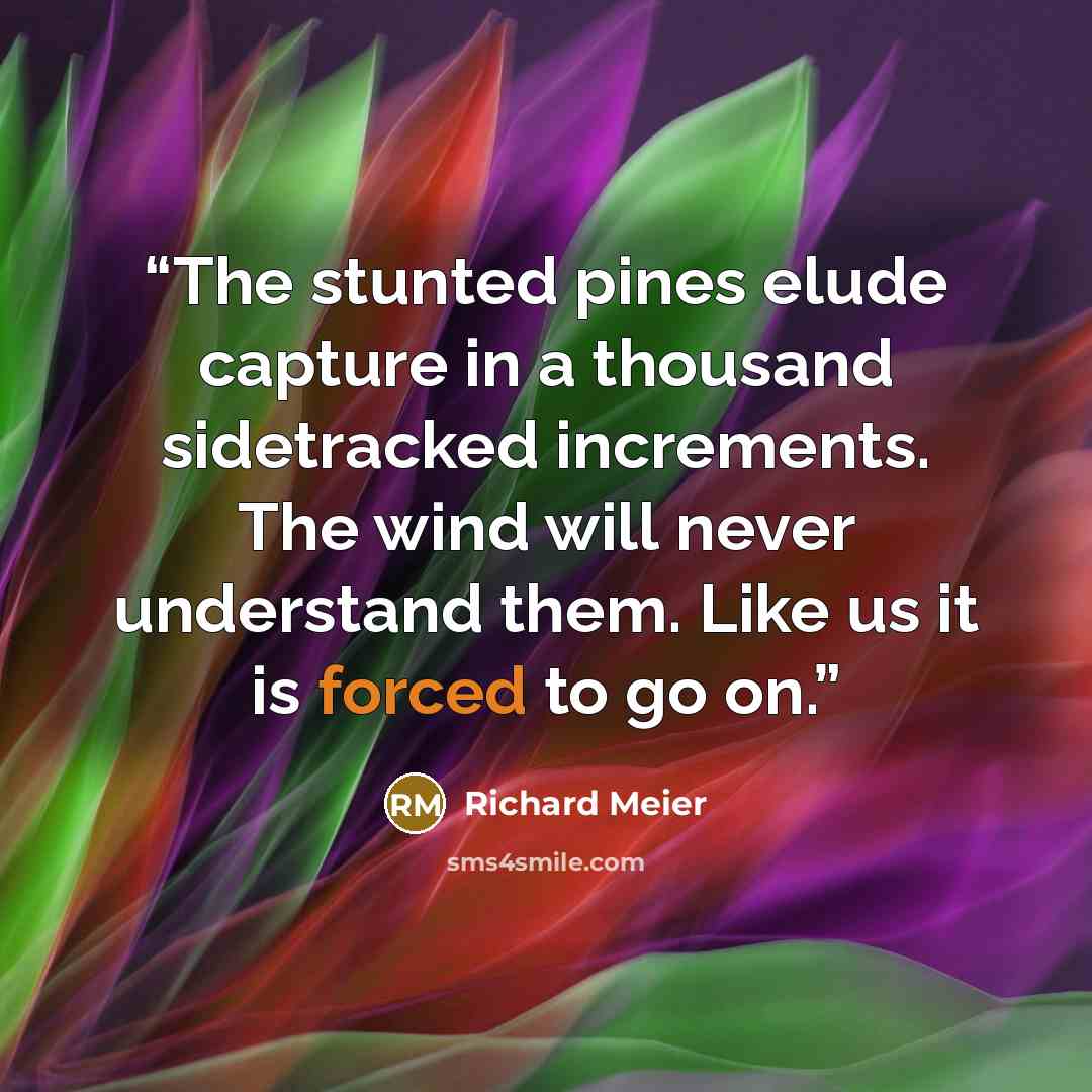 “The stunted pines elude capture in a thousand sidetracked increments. The wind will never understand them. Like us it is forced to go on.” quote by Richard Meier
