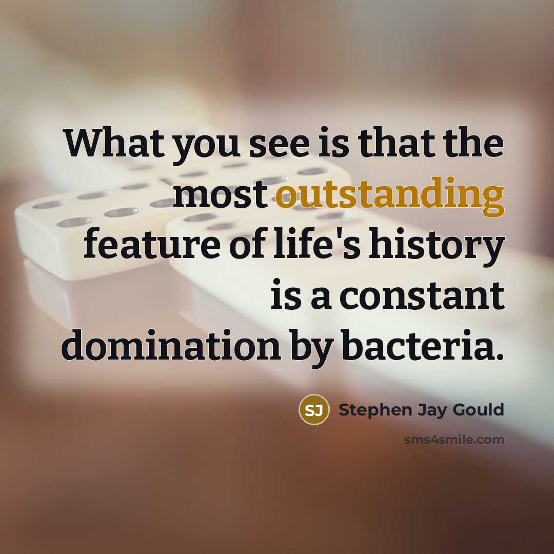 “What you see is that the most outstanding feature of…” quote by Stephen Jay Gould