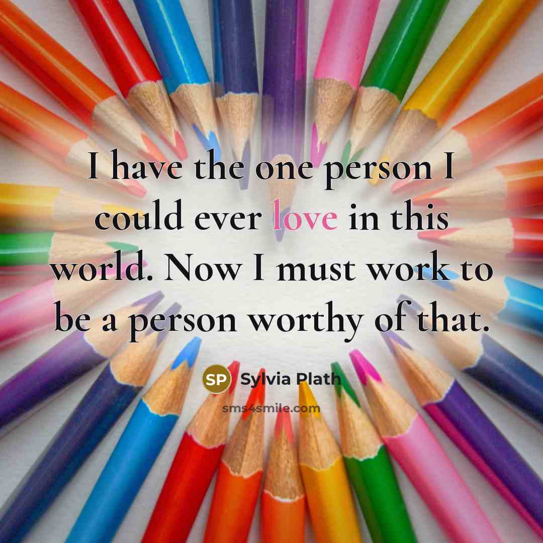 “I have the one person I could ever love in…” quote by Sylvia Plath