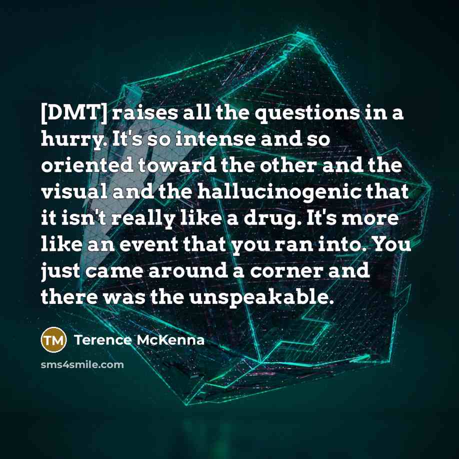 “[DMT] raises all the questions in a hurry. It's so…” quote by Terence McKenna
