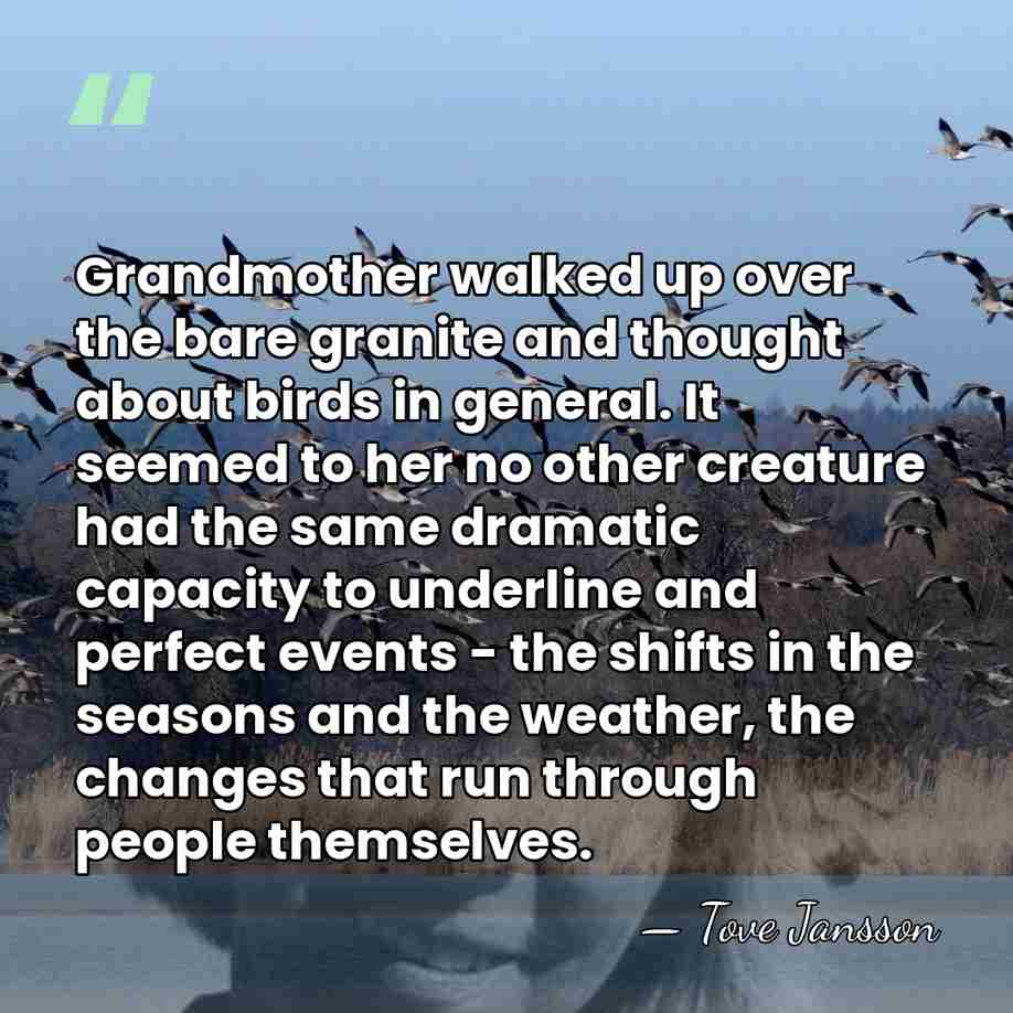 Grandmother walked up over the bare granite and thought about birds in&hellip; - Tove Jansson