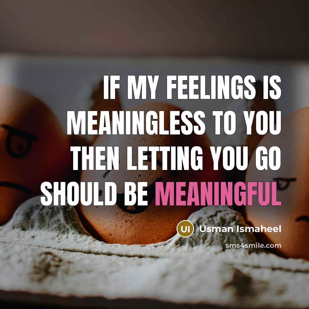 “If my feelings is meaningless to you then letting you…” quote by Usman Ismaheel
