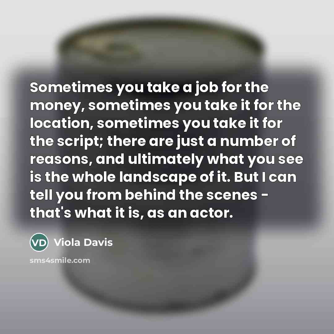 “Sometimes you take a job for the money, sometimes you…” quote by Viola Davis