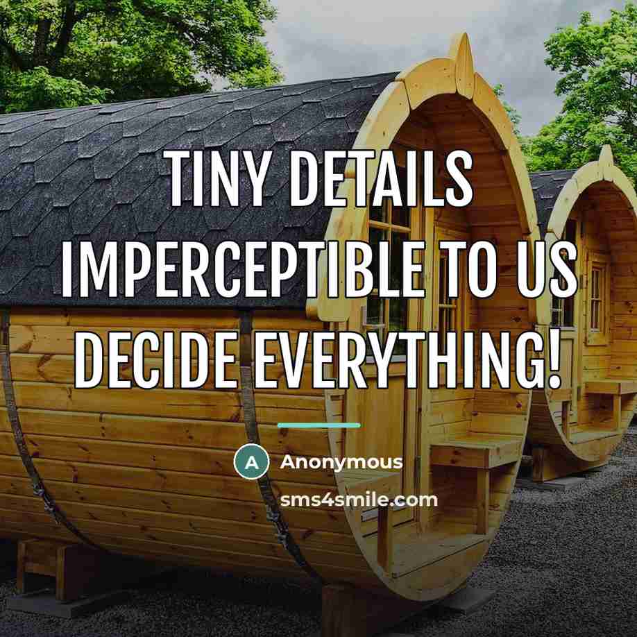 “Tiny details imperceptible to us decide everything!…” quote by Anonymous
