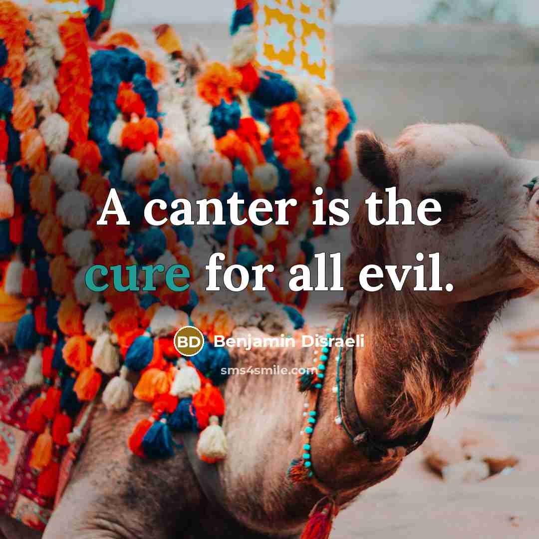 “A canter is the cure for all evil.…” quote by Benjamin Disraeli